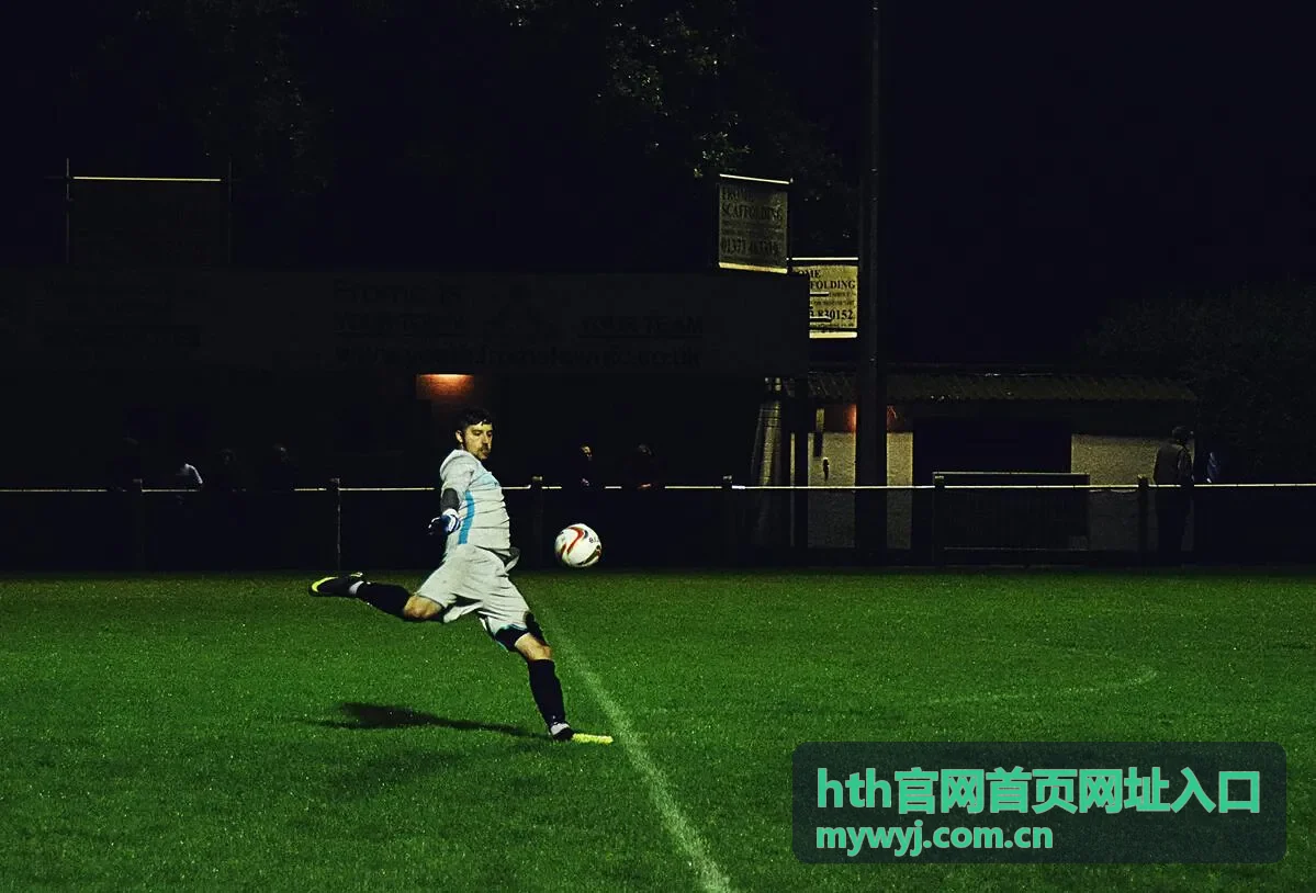 hth官网首页网址入口的网址检索界面示意，展示关键词输入与条目返回结果
