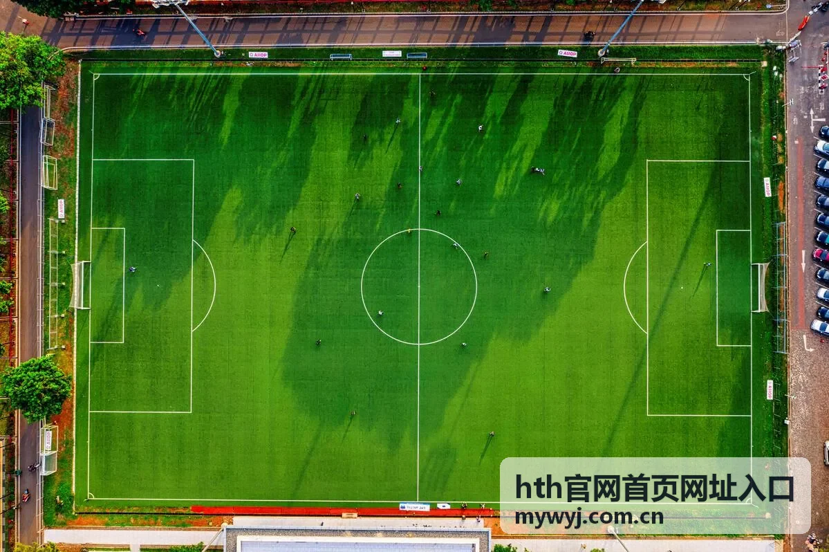 hth官网首页网址入口的检索结果页面示意